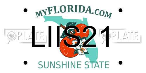 LIIS21 Florida License Plate
