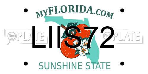 LIIS72 Florida License Plate