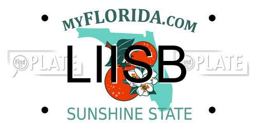 LIISB Florida License Plate
