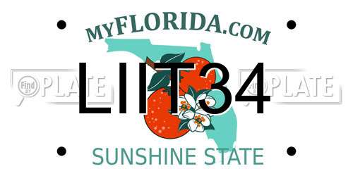 LIIT34 Florida License Plate
