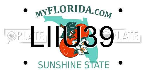LIIU39 Florida License Plate