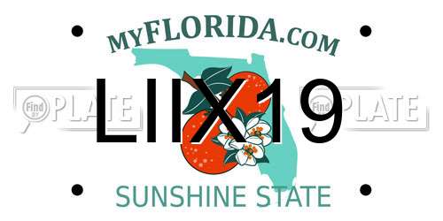 LIIX19 Florida License Plate