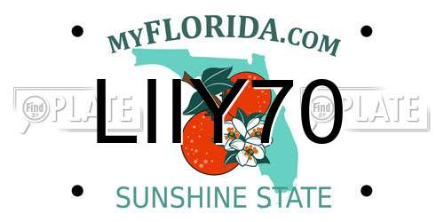 LIIY70 Florida License Plate
