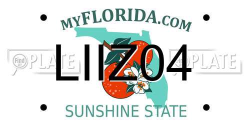 LIIZ04 Florida License Plate
