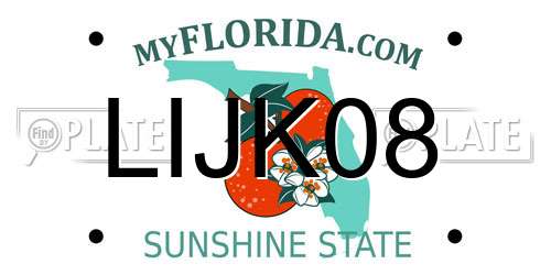 LIJK08 Florida License Plate