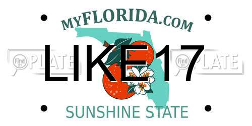 LIKE17 Florida License Plate