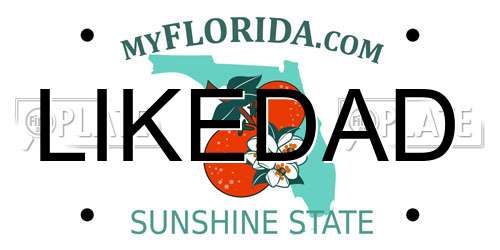 LIKEDAD Florida License Plate