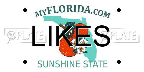 LIKES Florida License Plate