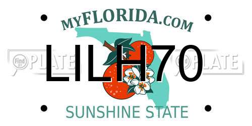LILH70 Florida License Plate