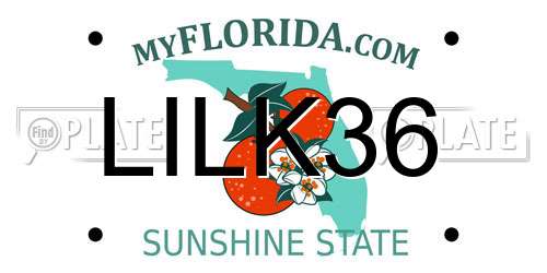 LILK36 Florida License Plate