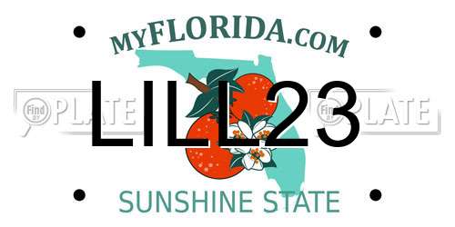 LILL23 Florida License Plate