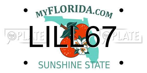 LILL67 Florida License Plate
