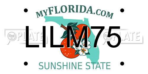 LILM75 Florida License Plate