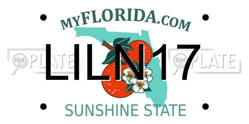 LILN17 Florida License Plate