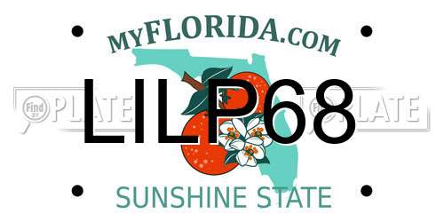 LILP68 Florida License Plate