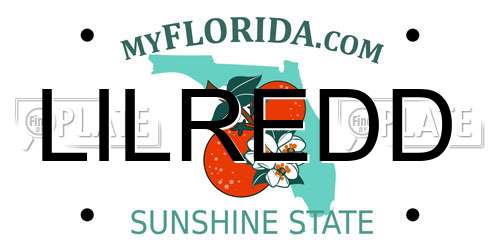 LILREDD Florida License Plate