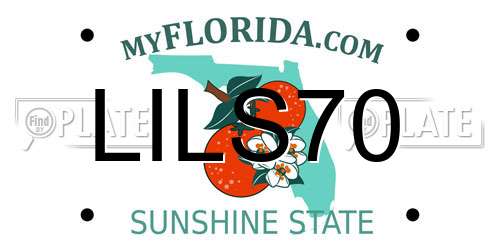 LILS70 Florida License Plate