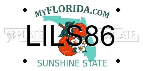 LILS86 Florida License Plate
