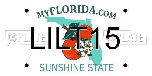 LILT15 Florida License Plate
