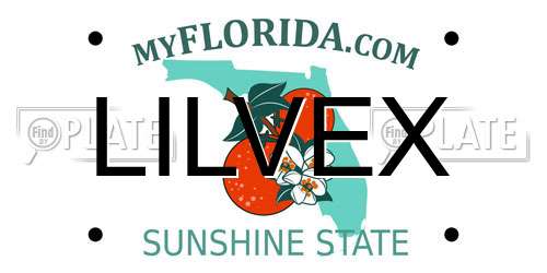 LILVEX Florida License Plate