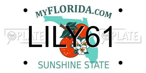 LILY61 Florida License Plate