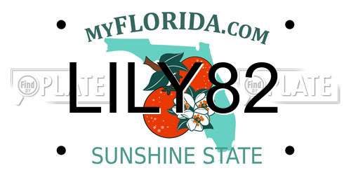 LILY82 Florida License Plate