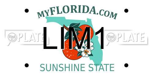 LIM1 Florida License Plate