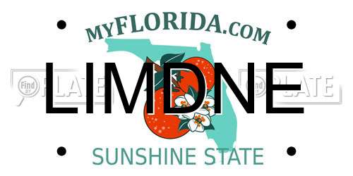 LIMDNE Florida License Plate