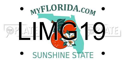 LIMG19 Florida License Plate