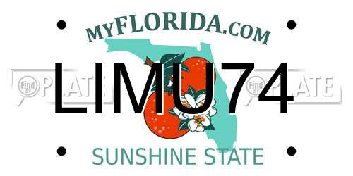 LIMU74 Florida License Plate