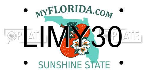 LIMY30 Florida License Plate