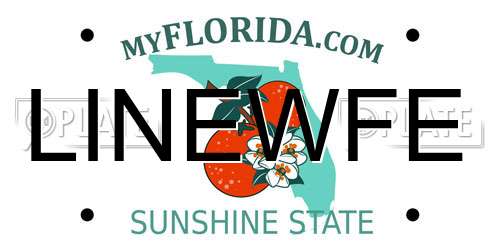 LINEWFE Florida License Plate