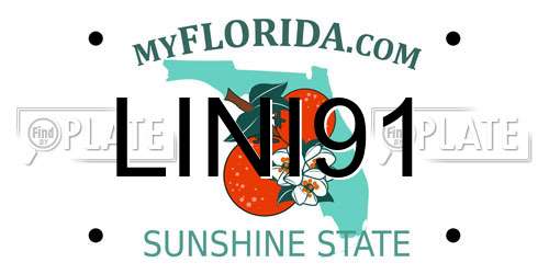 LINI91 Florida License Plate