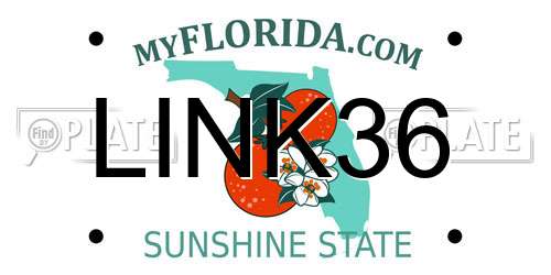 LINK36 Florida License Plate