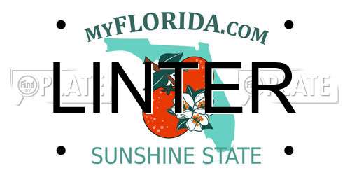 LINTER Florida License Plate