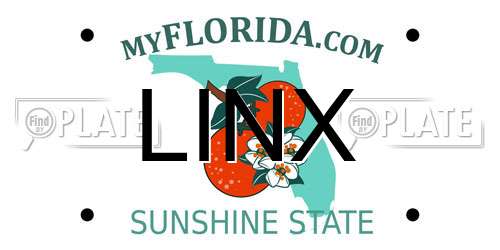 LINX Florida License Plate