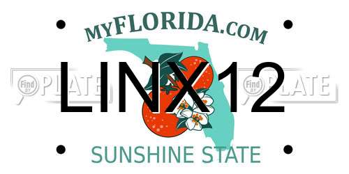 LINX12 Florida License Plate