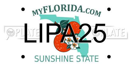 LIPA25 Florida License Plate