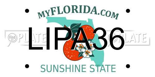 LIPA36 Florida License Plate
