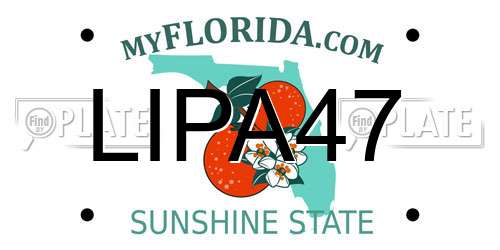 LIPA47 Florida License Plate