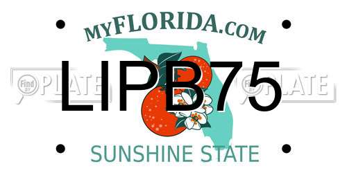 LIPB75 Florida License Plate
