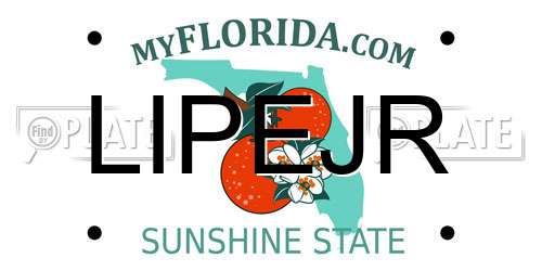 LIPEJR Florida License Plate
