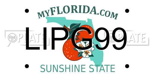 LIPG99 Florida License Plate