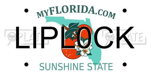 LIPL0CK Florida License Plate