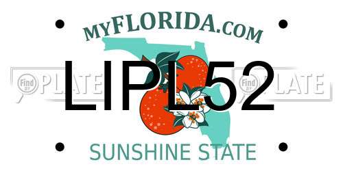 LIPL52 Florida License Plate