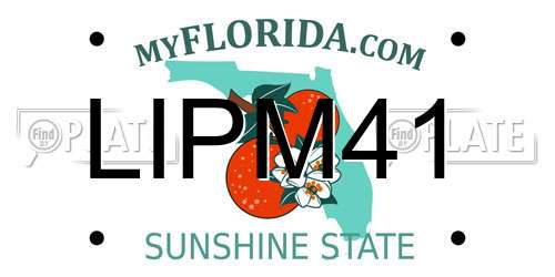 LIPM41 Florida License Plate