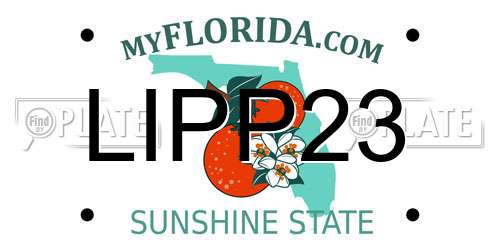 LIPP23 Florida License Plate