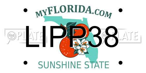 LIPP38 Florida License Plate
