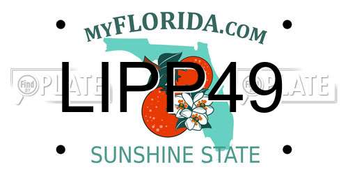 LIPP49 Florida License Plate