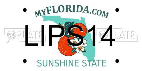 LIPS14 Florida License Plate